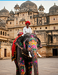 5 Days Golden Triangle Tour