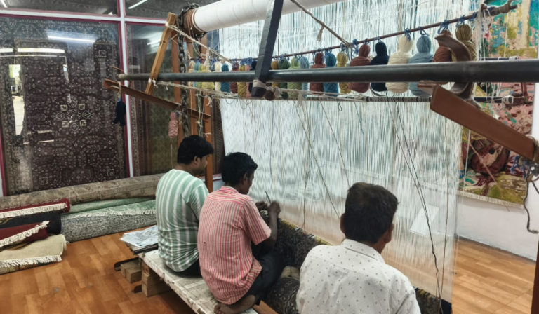 Agra Handicraft Shopping Tour by Car